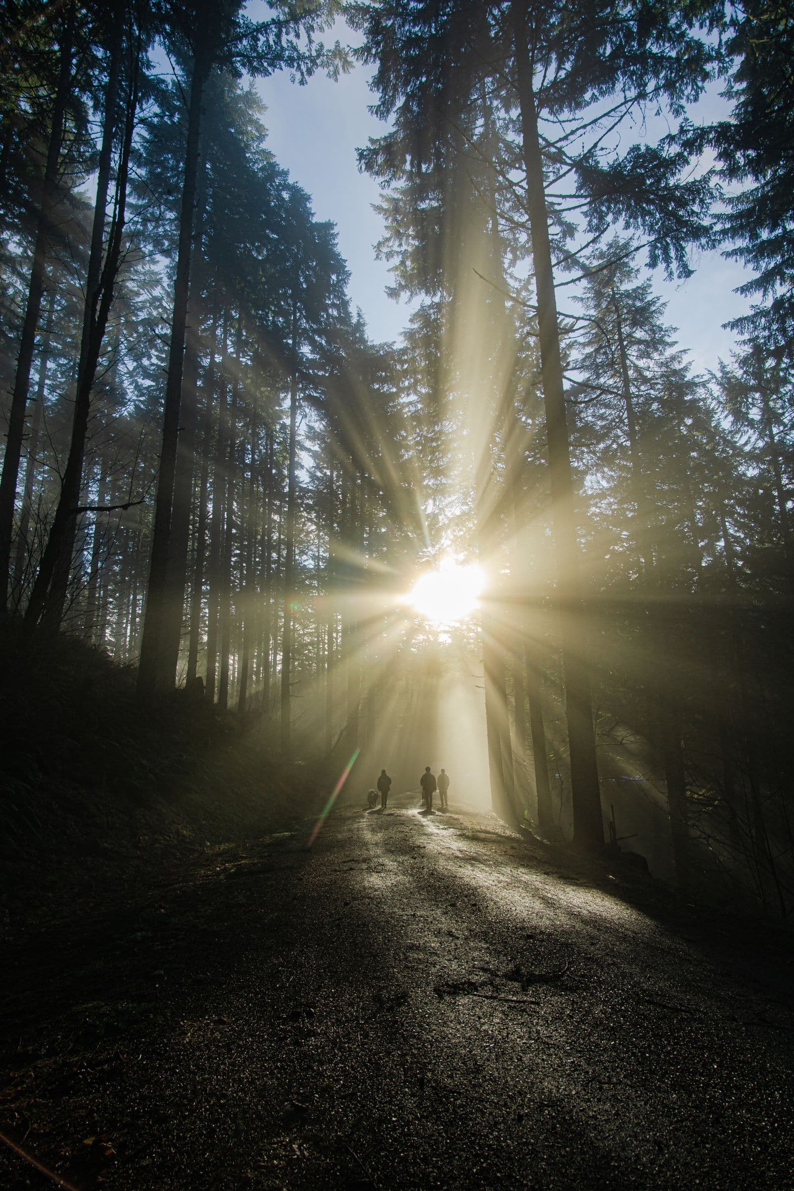 Why I Took a Break (And What I Learned)